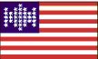25 Star Flag